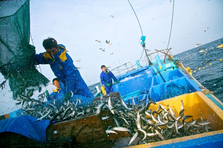 job_fisherman7